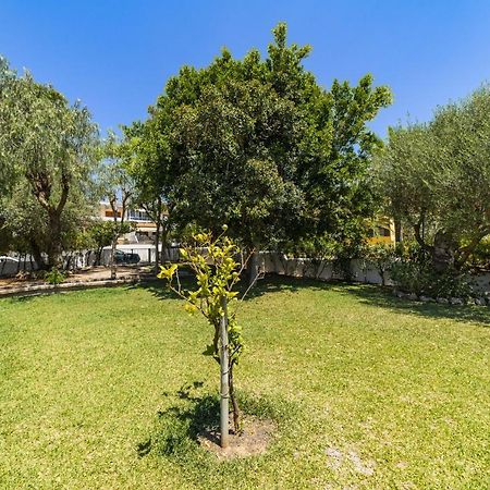 Villa Alcanada Garden Alcudia  Zewnętrze zdjęcie